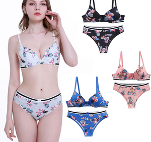 Ensemble de soutien-gorge sexy pour femmes, imprimé, vente chaude, ensemble de lingerie, photos - Product Image 4