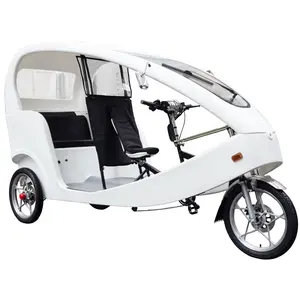TRI-TAXI 1000W 생태 비즈니스 셔틀 도시 관광 페달 어시스트 Pedicab 세발 자전거