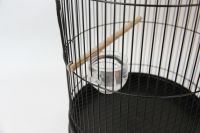 Cage à oiseaux d'élevage de Style chaud grandes Cages à oiseaux pour perroquets Style Aisa du sud-est avec les meilleurs services Cage pour animaux de compagnie