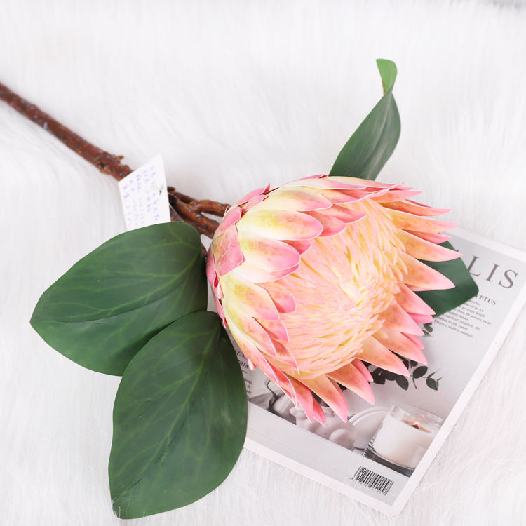 Style2-ชมพูอ่อน