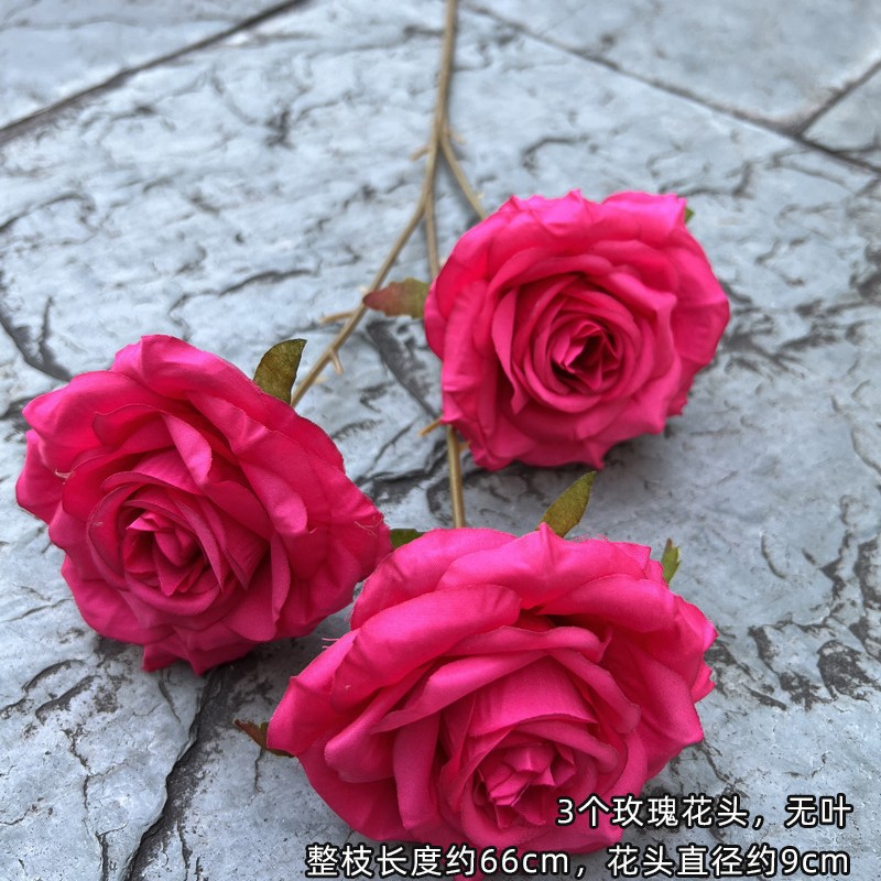 3 têtes soleil rose rose rouge
