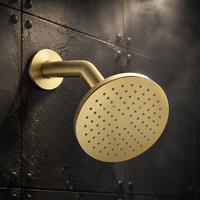 Pommeau de douche rond doré en ABS de 8 pouces, fixation murale, fonction simple, pulvérisation au plafond, accessoire de salle de bain
