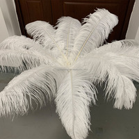 Großhandel Größte Größe 75-80cm Weiße Karneval-Festival-Straußenfedern Dekorative Straußenfedern für Hochzeiten und Partys