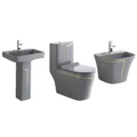 Ensemble Toilettes Modernes Gris Vasque Céramique Sanitaires Double Chasse Cuvette sur Pied Structure Monobloc pour Hôtels