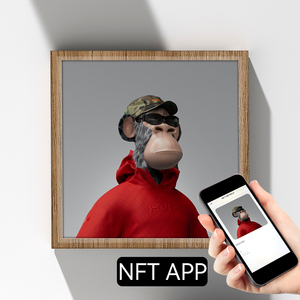 จอแสดงผลงานศิลปะ Opensea Wall Arts NFT แบบดิจิทัลบางเฉียบ สำหรับศิลปิน พร้อมกรอบ NFT ขายส่งจำนวนมาก ขนาด 10.1 21.5 32 นิ้ว ความละเอียด 2K 4K วัสดุไม้ OEM - Product Image 5