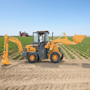 Mini-chargeuse articulée frontale Boom Loader 910 920, capacité 1 tonne, 2 tonnes, 1000 kg, 2000 kg - Product Image 2