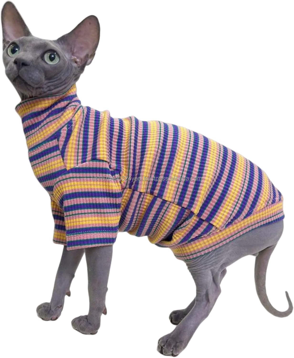 สวนกุหลาบ