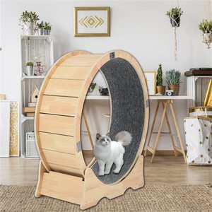 <b>Indoor</b> <b>Cat</b> Wheel Pet <b>Toys</b> Running Treadmill with Carpeted Small <b>Cat</b> Sport <b>Toy</b> Fits Suitable Physical <b>for</b> <b>Indoor</b> <b>Cat</b> Wheel - Product Image 6