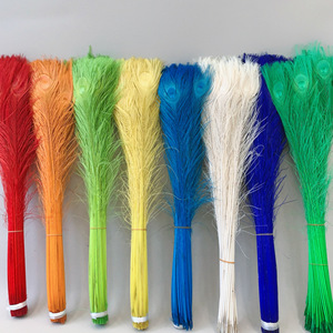 Plumas de Cola de Pavo Real Blanqueadas y Teñidas de Alta Calidad, Plumas de Pavo Real Coloridas de Tamaño Personalizado para Decoración del Hogar, Bodas, Carnavales y Disfraces - Product Image 1