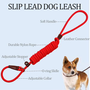 Quality Heavy Colors Optional Adjustable <b>Dog</b> Collar Nylon Duty <b>Dog</b> slip Rope <b>Leash</b> - Product Image 2