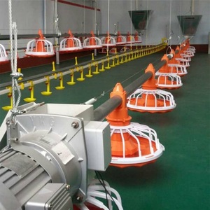 Quản Lý Sàn Gia Cầm Pan Trung Chuyển Cho Gà Tự Động Hệ Thống Trung Chuyển - Product Image 5