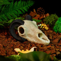 Nouvelle conception Ustovian : Caverne cachette en PVC en forme de corne de chèvre pour reptiles, accessoire de terrarium et décoration pour enclos d'animaux