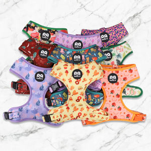 Arnés y Correa para Perro Antitirones, Juego de Collar de Perro Personalizado de Neopreno y Poliéster, Porta Bolsas para Excrementos, Corbatín - Product Image 5