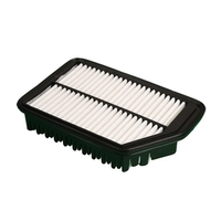 Pièces automobiles OEM 28113-2S000 28113-3X000 28113-D8300 28113-3X000 pour filtre à air automatique HYUNDAI