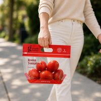 Groothandel op maat bedrukte fruit- en groenteverpakkingen met handvat, ritssluiting en ventilatiegaten voor verse producten