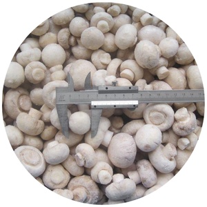 Funghi KOSHER di funghi bianchi congelati deliziosi di alta qualità sfusi - Product Image 1