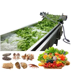 Lavadora ultrasónica de frutas y verduras, máquina de lavado de hojas de té, fresa salvaje, Beet, manzana, India
