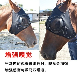 Masque facial pour cheval, couvre-yeux en maille, protection coupe-vent pour l'entraînement équestre - Product Image 5