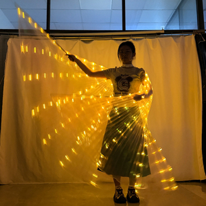 Ailes de papillon lumineuses à LED pour la danse du ventre, costumes de performance, cape lumineuse pour fêtes et festivals, ailes de papillon lumineuses pour mariage - Product Image 5