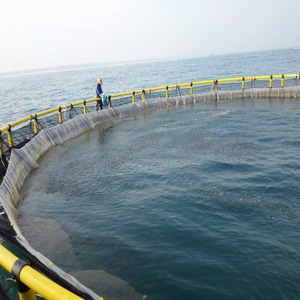 High Toughness HDPE Circular <b>Floating</b> Cage Anti-fouling Structure For Long Service Marine Farming - Product Image 1