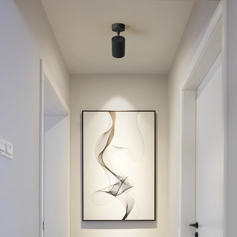 Hot Sale Indoor Modern Directional Ceiling Light Ceiling Spotlight Lamp Mini Indoor LED Spotlight