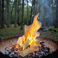 Équipement d'urgence en plein air, bâton de silex en bois naturel personnalisé pour allumer du charbon de bois, accessoires pour barbecue