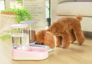 2026 New Design Elevated PP Rounded Cat <strong>Dog</strong> <strong>Food</strong> <strong>Bowl</strong> with <strong>Raised</strong> Neck Protection Portable Travel Ready Stand Base - Product Image 5