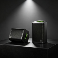 Amplificateur d'instruments multifonctionnel professionnel en gros avec double micro UHF, Bluetooth 5.3, XLR, OTG, USB, enregistrement, boîte à rythmes, cascade d'effets et haut-parleur de scène