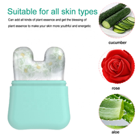 Moule à glace en silicone personnalisé pour la beauté, rouleaux de glace pour le visage et les yeux, outil de soin de la peau pour réduire les poches du cou, moule à glace réutilisable
