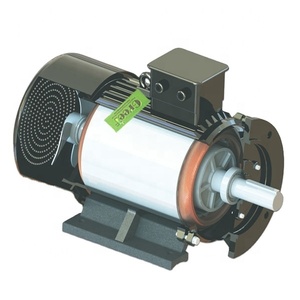 Sistema de Energía a Pequeña Escala Compatible con Transmisión por Correa PMG Compacta de 20 KW y 350 RPM - Product Image 3
