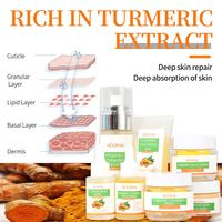 Ensembles de curcuma bio de marque privée coréenne ensemble de soins de la peau tumérique anti-âge blanchissant