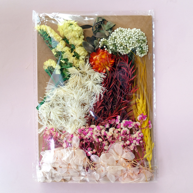 Fleur séchée#15