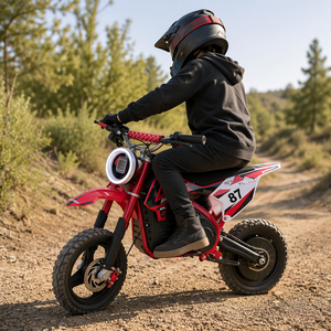 Bicicleta Elétrica Infantil Off-Road 36V 500W com Bateria de Lítio, Moto Mini à Prova d'Água para Passeios ao Ar Livre - Product Image 2