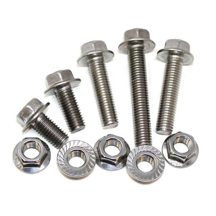 M6 M8 M10 F593c SS Stainless Steel Bolts with Free Nuts