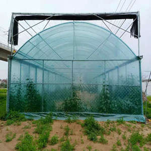 Agriculture Hydroponic <strong>Tunnel</strong> 30 X 100 Greenhouse - Product Image 6