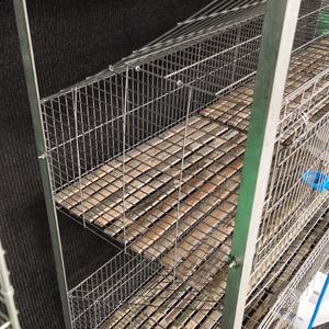 Jaulas para conejos cría comercial jaulas para conejos industriales y para bebés conejito conejera a la venta - Product Image 6