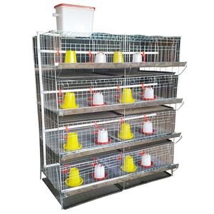 Venta caliente <span class=keywords><strong>galvanizado</strong></span> 4 niveles capacidad 100-300 gallinas aves de corral bebé chica jaulas coop - Product Image 1
