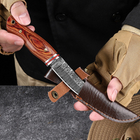 Couteau tactique de chasse à lame fixe en acier inoxydable avec étui en cuir, couteau de poche utilitaire de 3 pouces pour la viande et les fruits