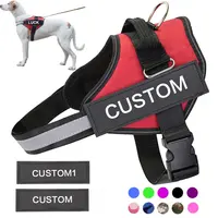 Personalized Dog Harness, No Pull, Reflective, Breathable