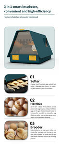 WONEGG Meilleure vente Petite couveuse automatique pour 10 œufs <span class=keywords><strong>de</strong></span> poule, caille, canard, dinde - Product Image 6
