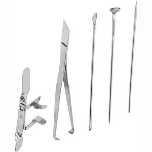 Capón de pollo de acero inoxidable, herramientas de castración, suministros para granja, Gallo - Product Image 2