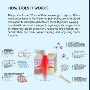 Alat Terapi Laser Dingin, Peralatan Medis Portabel untuk Radang Sendi Lutut, Pereda Nyeri Punggung, Peralatan Fisioterapi - Product Image 4
