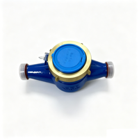 Durable Brass Casing Water Meter with High Accuracy Measurement