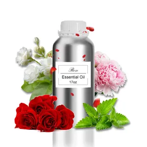 Aceite esencial Soluble en agua de alta calidad, Perfume de aromaterapia, aroma de rosa y vainilla, Humidificador difusor nutritivo hidratante