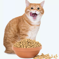 OEM Groothandel LUSCIOUS Merk Kattenvoer Droogvoer Hoog Eiwitgehalte Laag Temperatuur Gebakken Volledig Voedzaam Vers Vlees Graanvrij Snacks