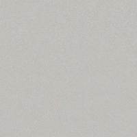 DCT GS1009 Pflegeleichte Graue Quarzplatte mit Matter Mineraltextur Benutzerfreundliche Quarz-Arbeitsplatte