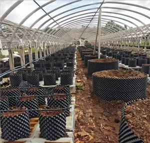 Pot à racines aériennes en PET de haute qualité 3 5 <span class=keywords><strong>7</strong></span> 10 20 30 40 gallons Pots à élagage aérien pour la culture de raisin à domicile - Product Image 6