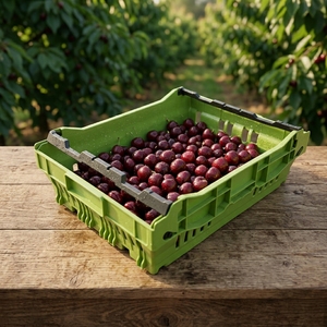 Cesta <span class=keywords><strong>de</strong></span> plástico <span class=keywords><strong>de</strong></span> malla reciclable para verduras con asa / Caja <span class=keywords><strong>de</strong></span> frutas apilable y encajable para supermercado, compra al por mayor - Product Image 1