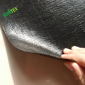 250gsm Imperméable Tissé RPE Géoembrane Revêtement D'étang HDPE Noir Poissons Aquaculture Piscine Canaux Feuille De Couverture - Product Image 2