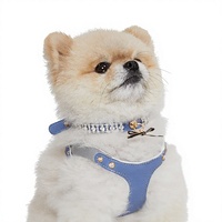 Collier en cristal souple moderne pour chats et chiens, colliers de luxe réglables pour chiens et chats, accessoires écologiques pour animaux de compagnie